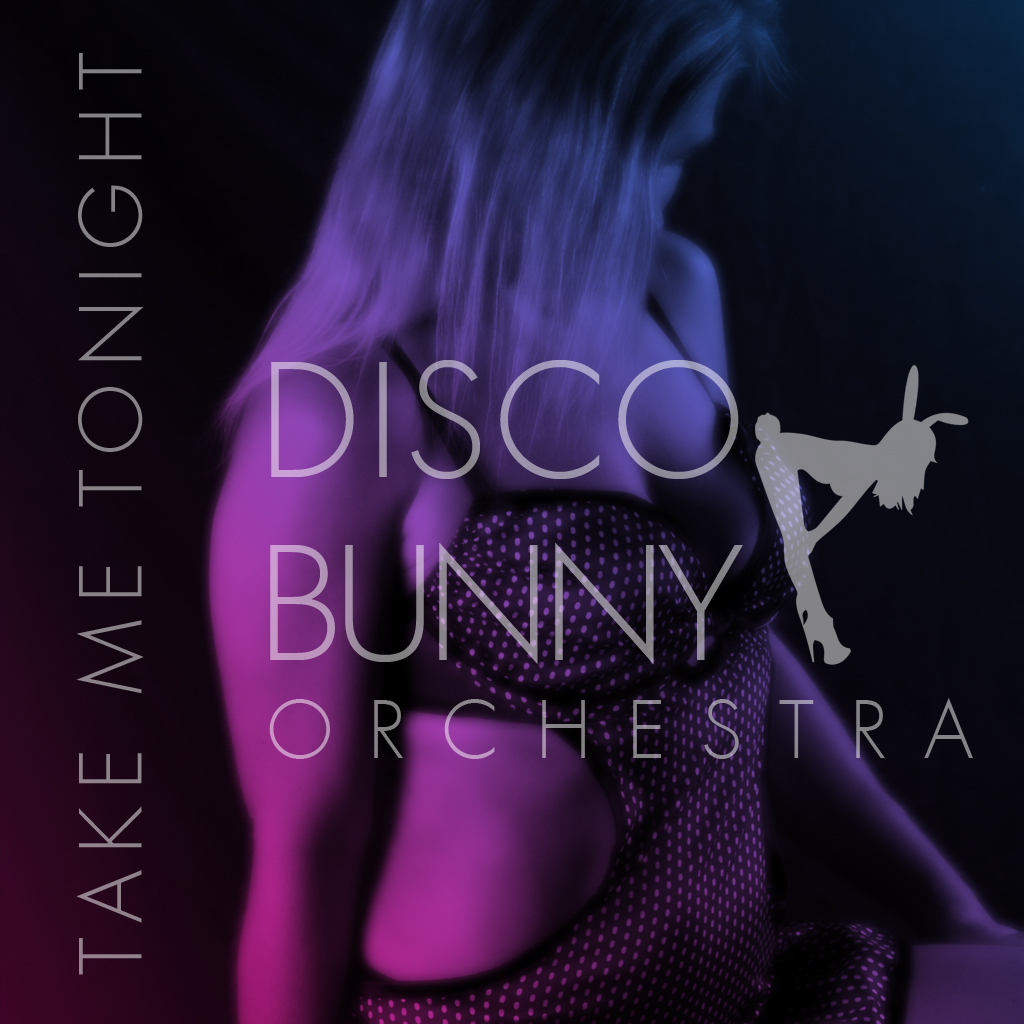 Stefan Diamante Disco Bunny Orchestra Take Me Tonight